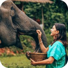 Temple et paysages en Asie